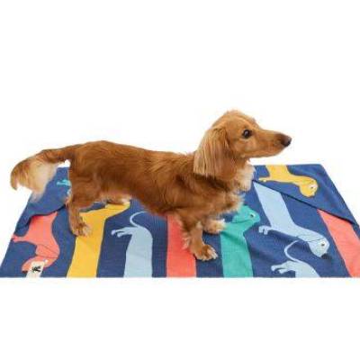 Long Dog 2.JPG