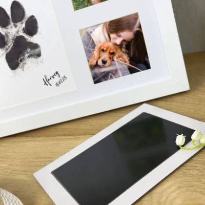 Paw Print Ink Keepsake Kit 3.JPG